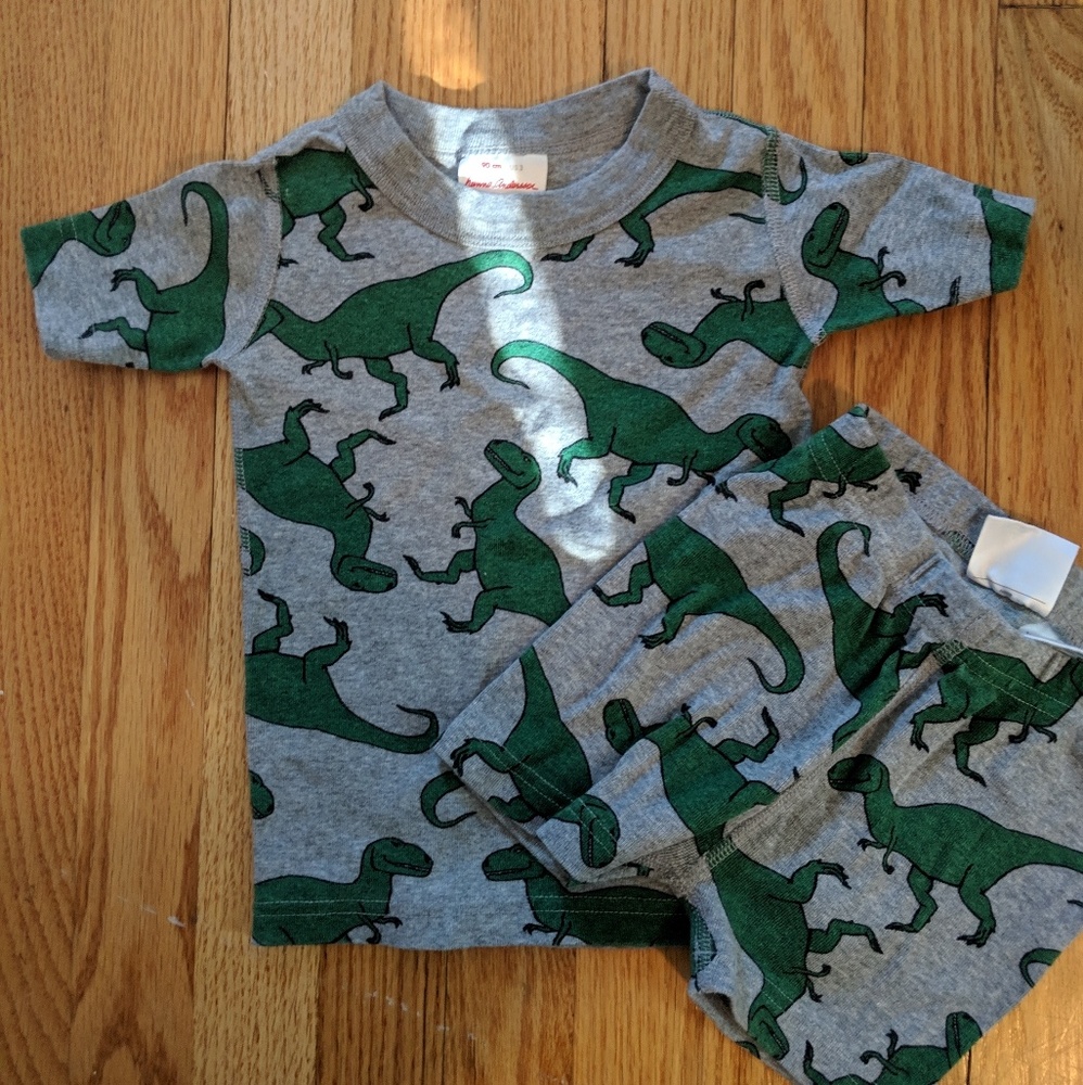 Hanna Anderson dino Pajamas